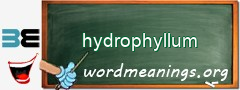 WordMeaning blackboard for hydrophyllum